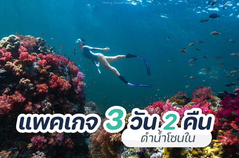Koh Lipe 3 Days 2 Nights – Inner-Zone Snorkeling