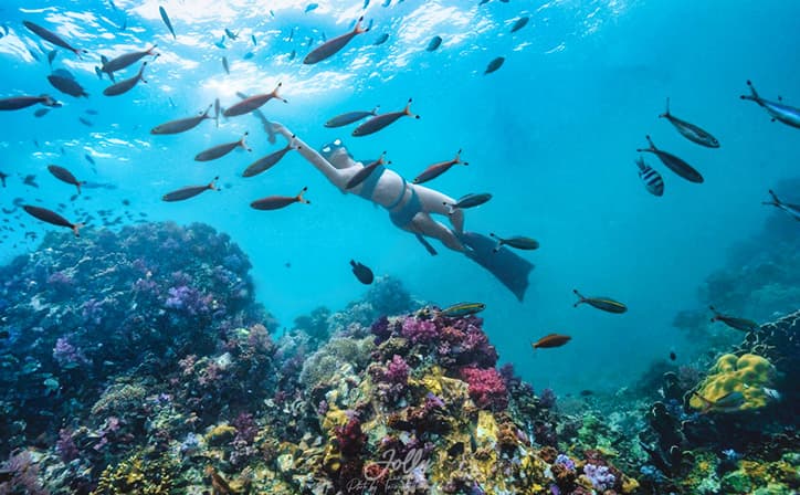 Koh Lipe 3 Days 2 Nights – Inner-Zone Snorkeling