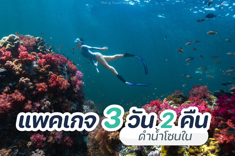 Koh Lipe 3 Days 2 Nights – Inner-Zone Snorkeling